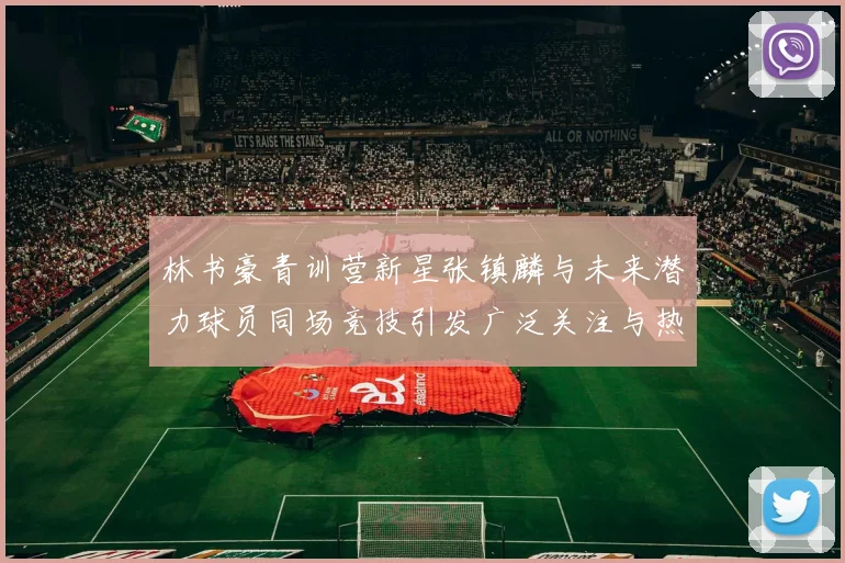 林书豪青训营新星张镇麟与未来潜力球员同场竞技引发广泛关注与热议