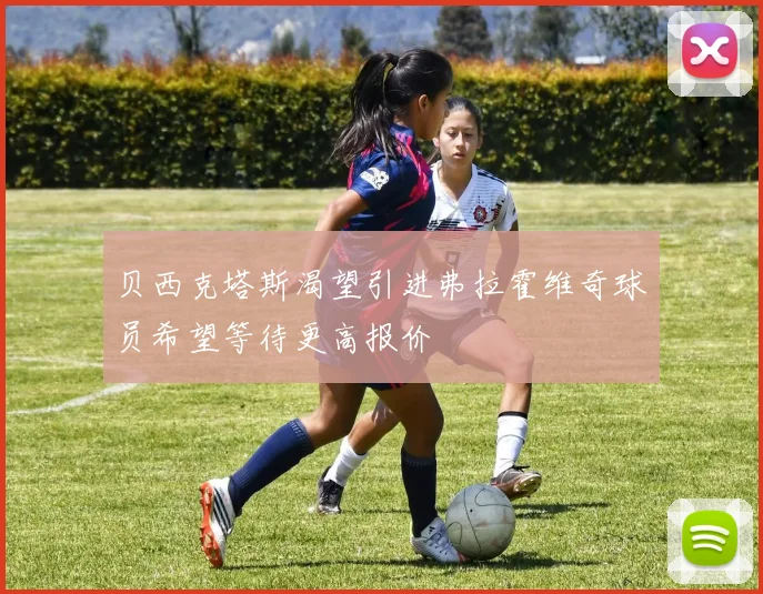 贝西克塔斯渴望引进弗拉霍维奇球员希望等待更高报价