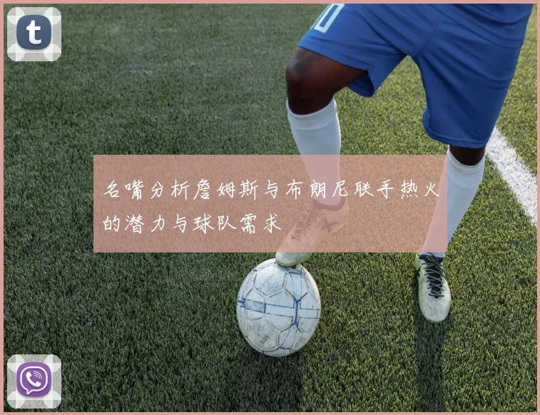 名嘴分析詹姆斯与布朗尼联手热火的潜力与球队需求
